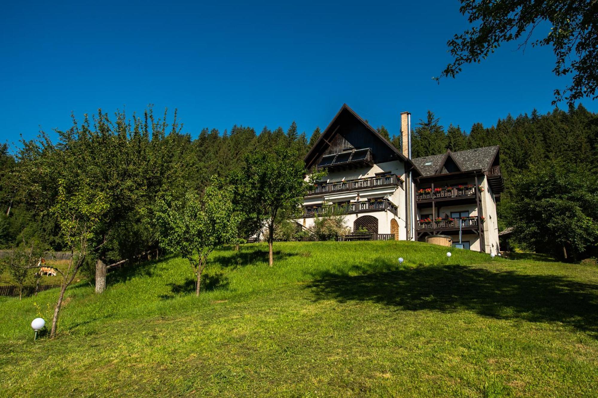 Bucovina Lodge Pension Vama  Exterior foto